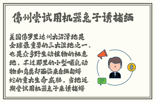 91蜜臀黑料